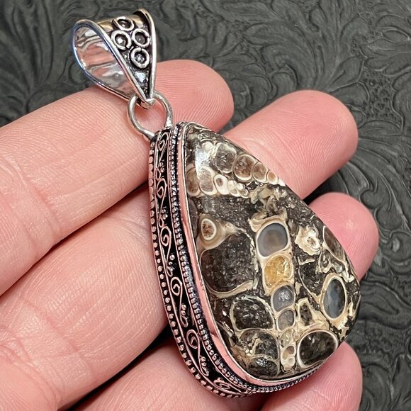 Elimia Turitella Agate Pendant - Picture 4 of 7